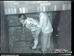 猫の中で大きな猫を目が覚めた 主婦 不倫 ...